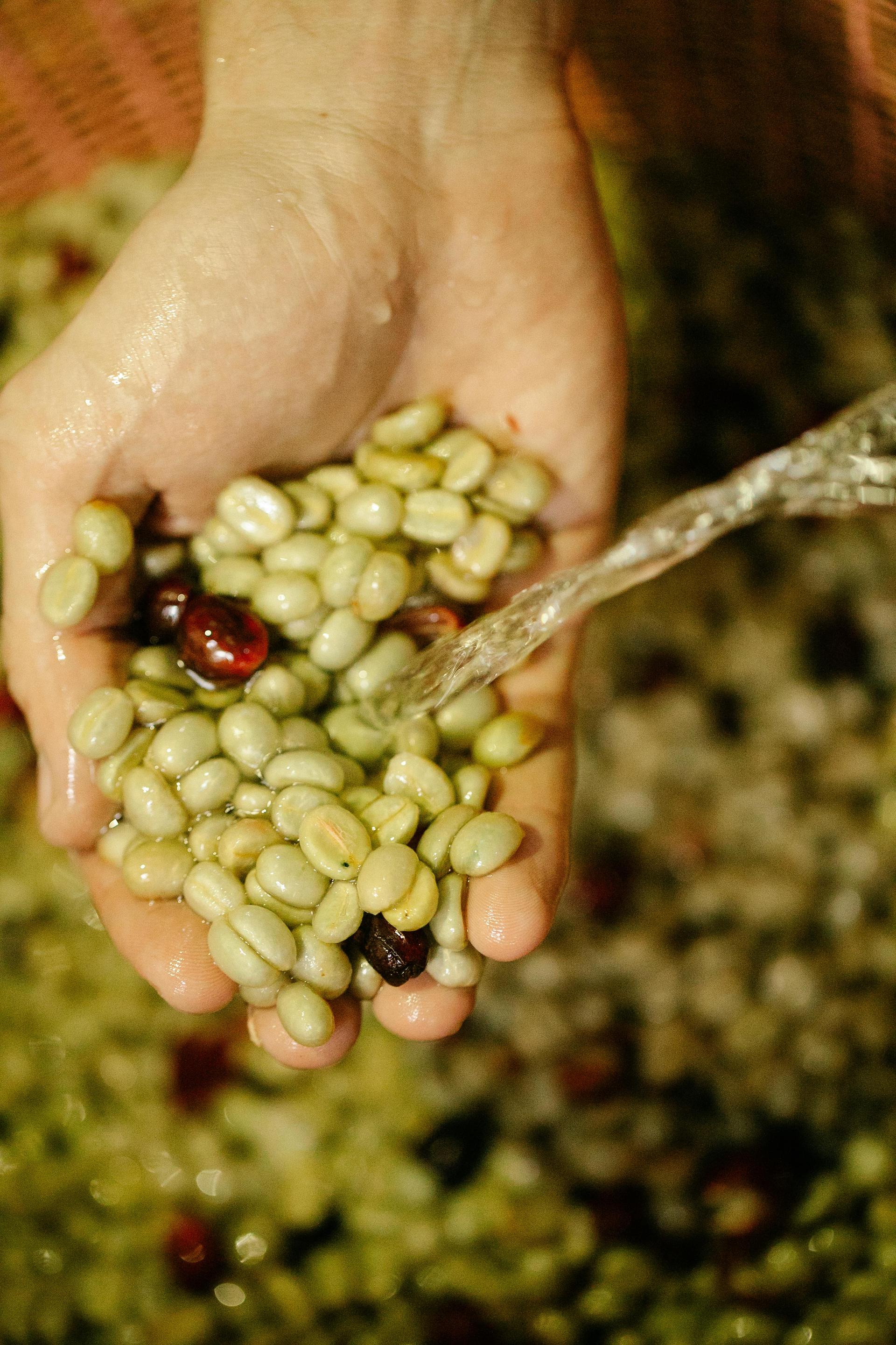The Ewaffe Coffee Experience