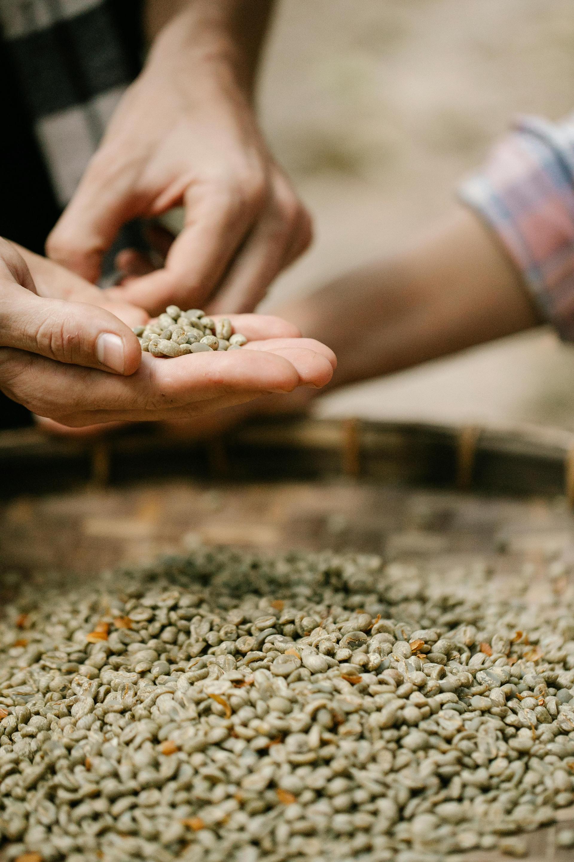 The Ewaffe Coffee Experience