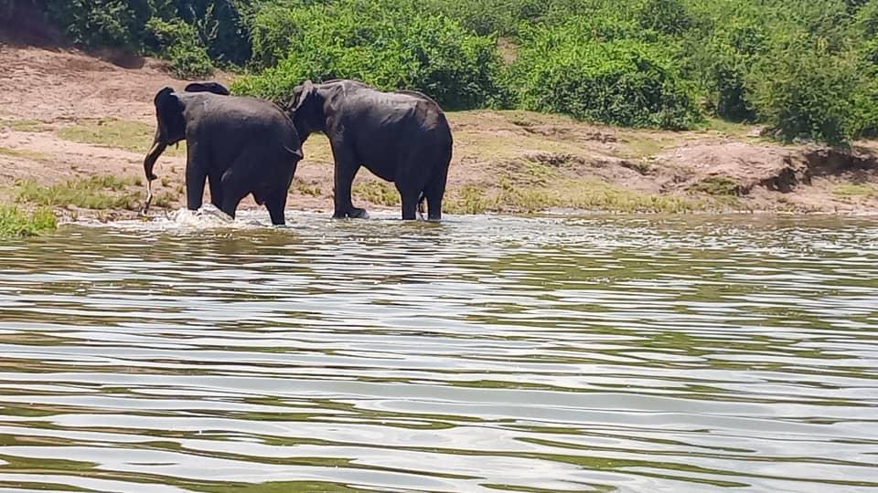Culture and wildlife safari
