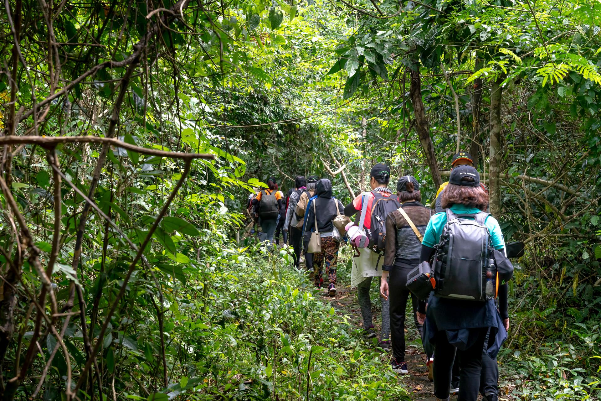 Ewaffe Tours