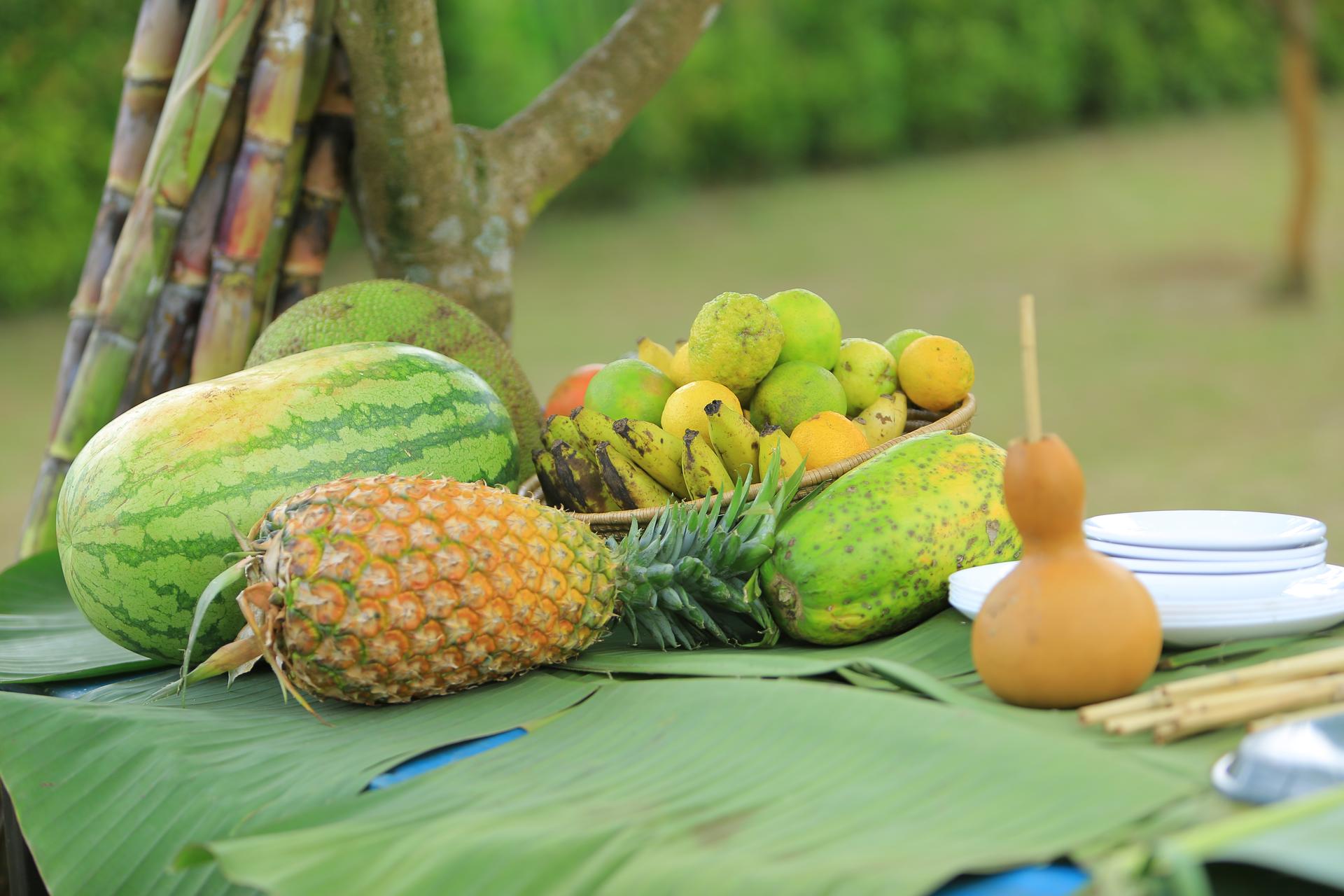 Local Fruit Tasting