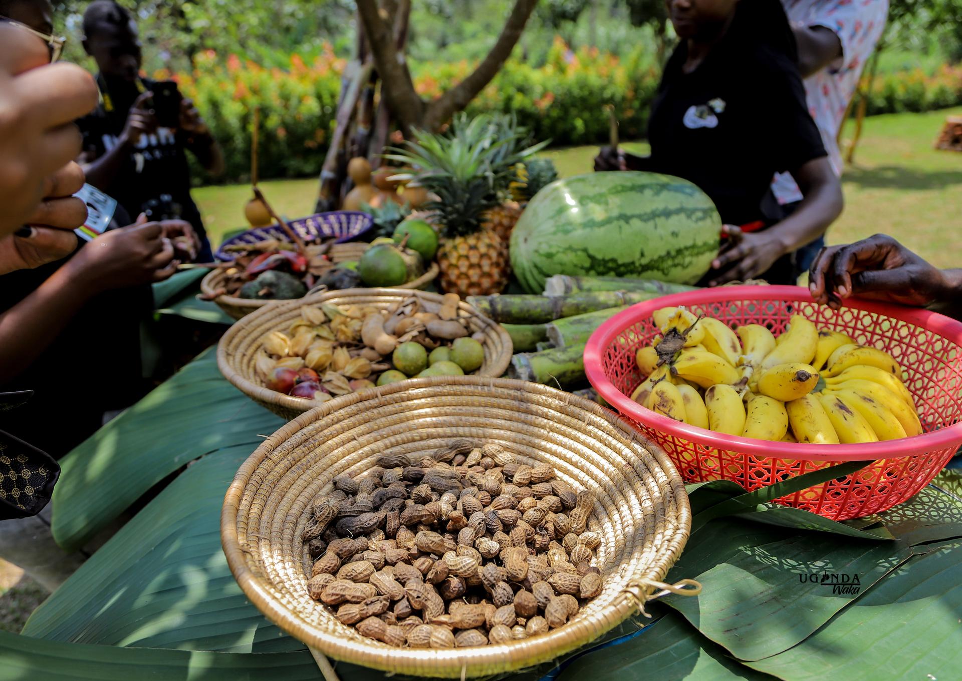 Local Fruit Tasting